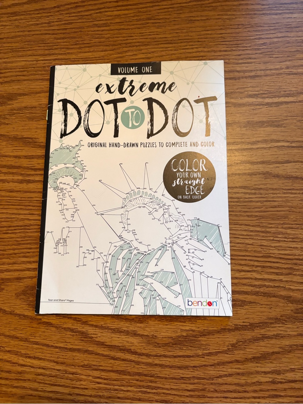 Extreme Dot to Dot Activity Book - White/Teal Cover